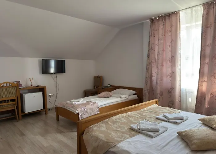 Pensiunea ATLANTIS Moisei